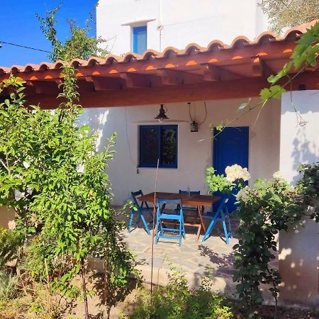Lianas Garden House Βίλα Αφάντου Εξωτερικό φωτογραφία