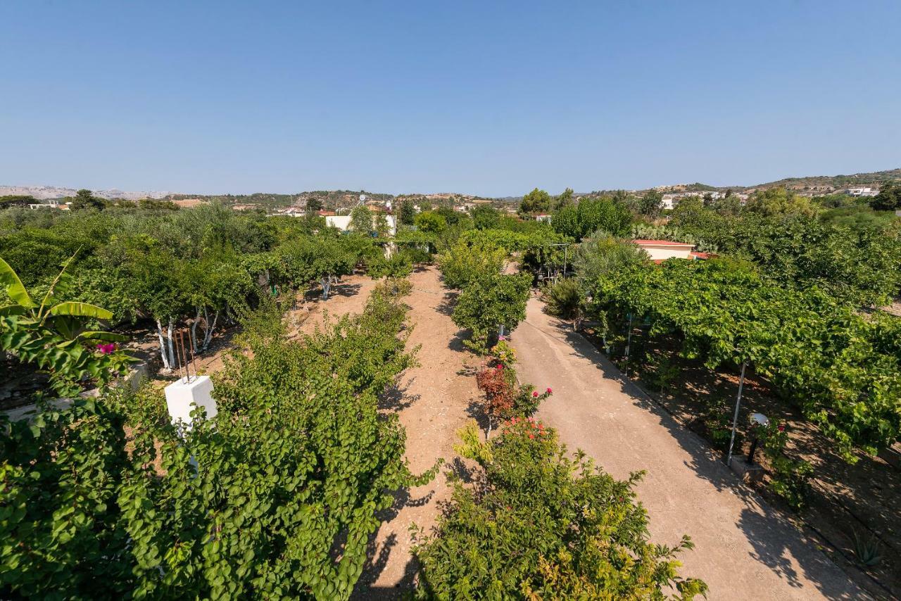 Lianas Garden House Βίλα Αφάντου Εξωτερικό φωτογραφία