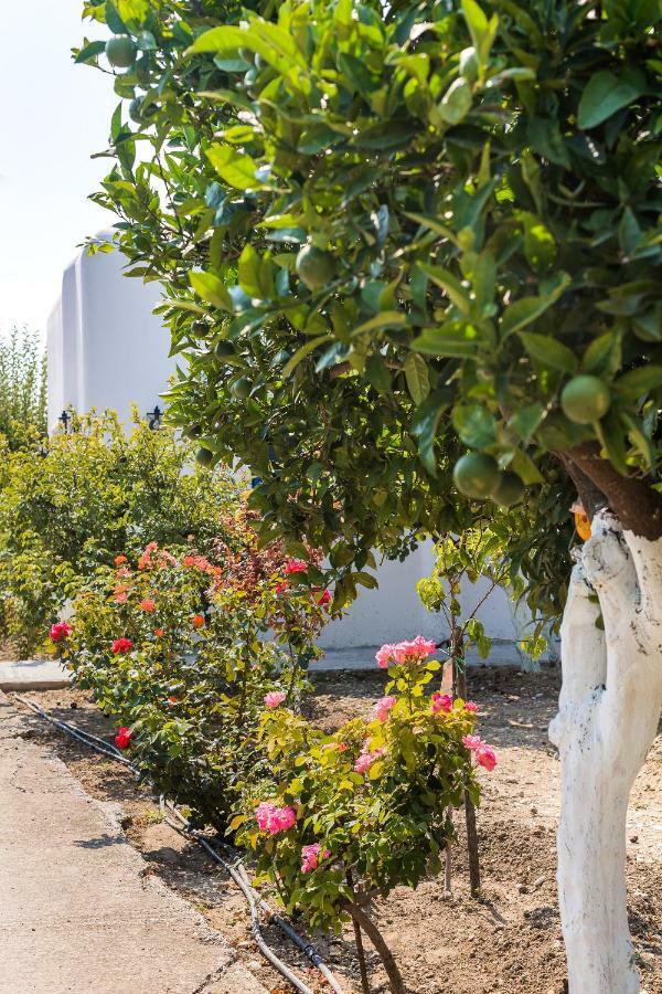 Lianas Garden House Βίλα Αφάντου Εξωτερικό φωτογραφία